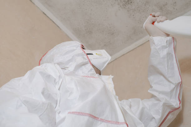 Crawl Space Mold Removal in Bylas, AZ