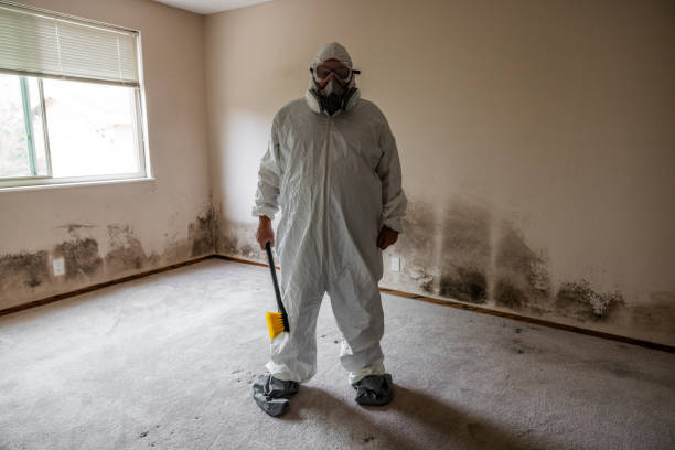 Crawl Space Mold Removal in Bylas, AZ